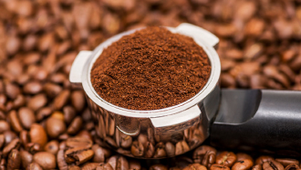 vinho tinto a ser servido num copo